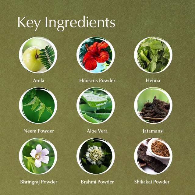Key ingredients in Ayumi Herbal Henna with their names on a green background