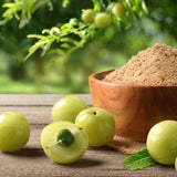 Amla fruits and a wooden bowl with Amla powder on a wooden surface with greenery in the background