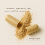 Opened Amla capsule with powder spilling out, describing recommended intake of two capsules daily for health benefits.