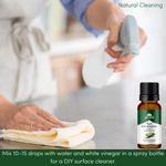 Ayumi Eucalyptus Oil, mixing with water and vinegar to create a natural cleansing spray