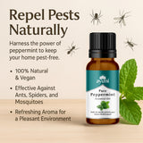 Showing a bottle of Ayumi Peppermint Oil, repelling ants, spiders and mosquitos