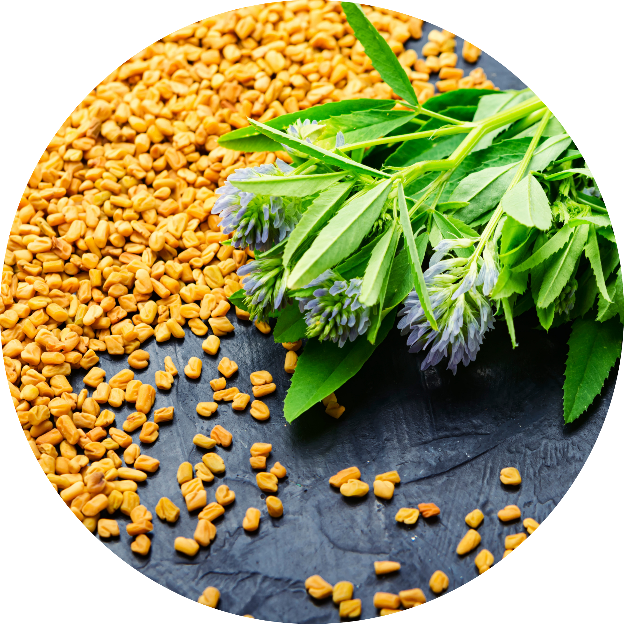 Ingredient 5