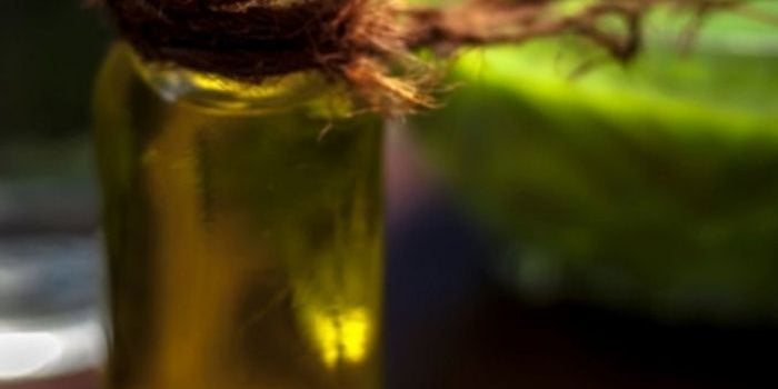 tea tree oil vs neem oil