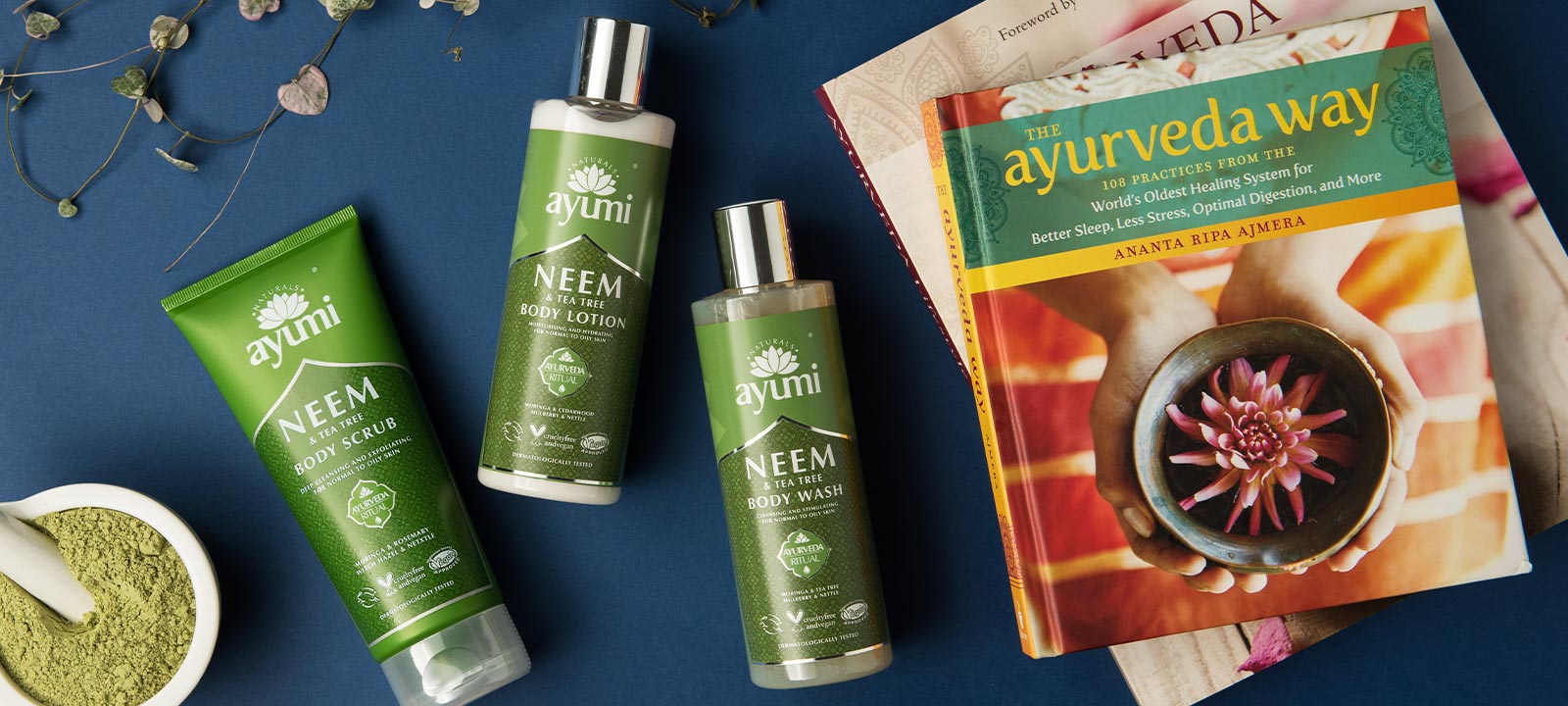 Image of Ayumi Blog Page Banner 2