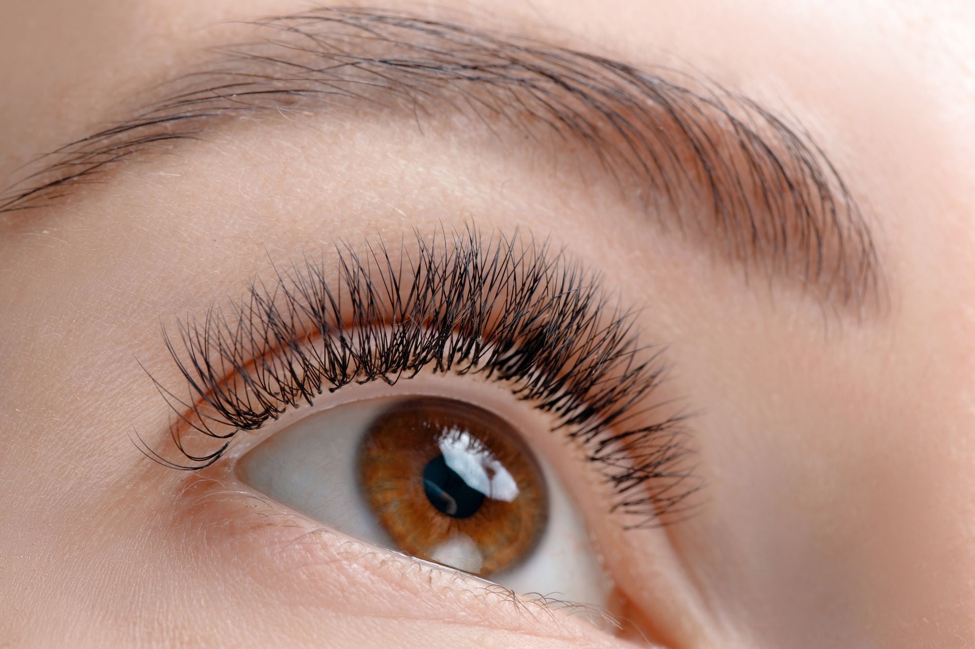 10 Incredible Benefits of Pure Castor Oil