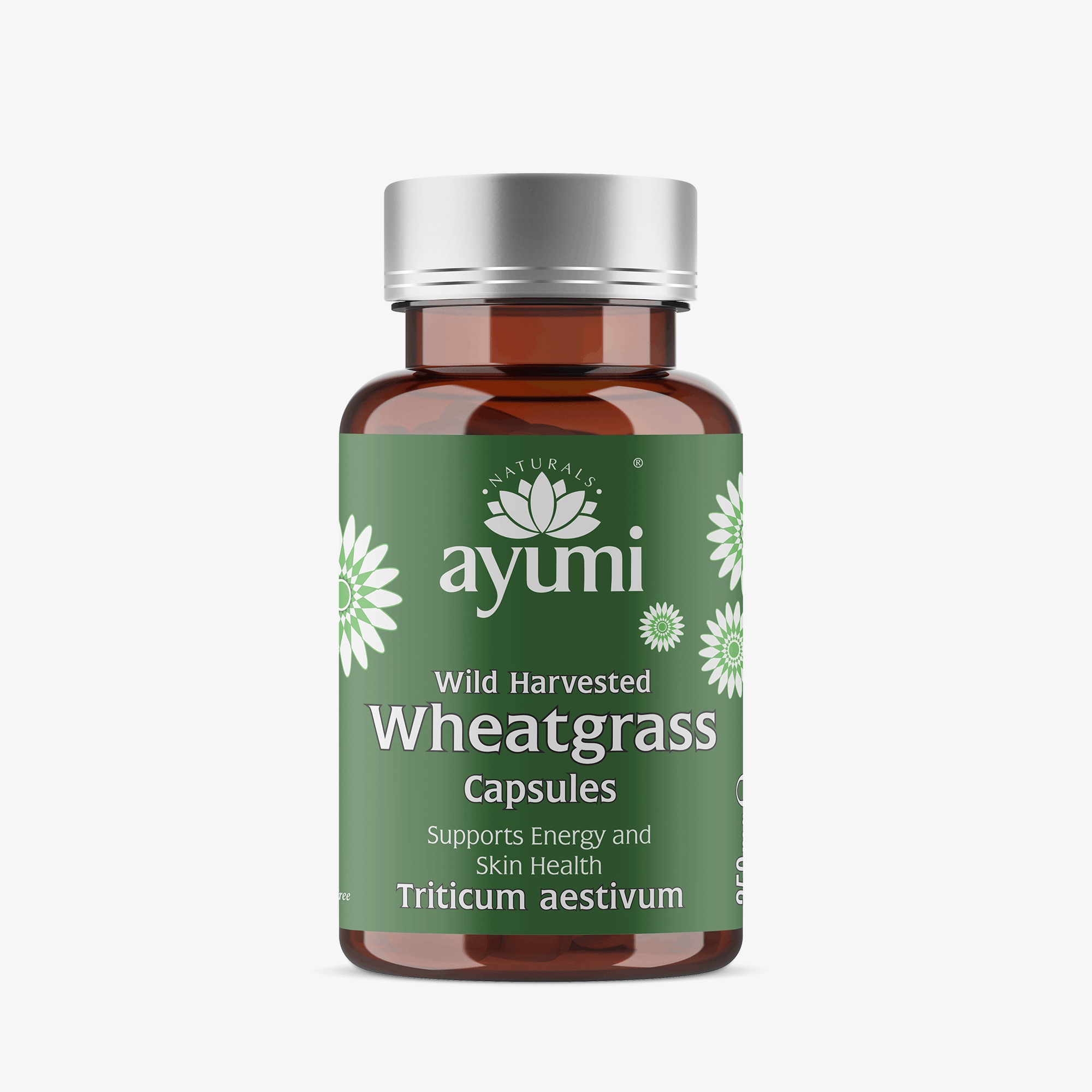Ayumi Wheatgrass Capsules 60 Vegan Capsules Wild Harvested Triticum Aestivum Wheatgrass Powder for Energy Detox and Immunity UKbackground