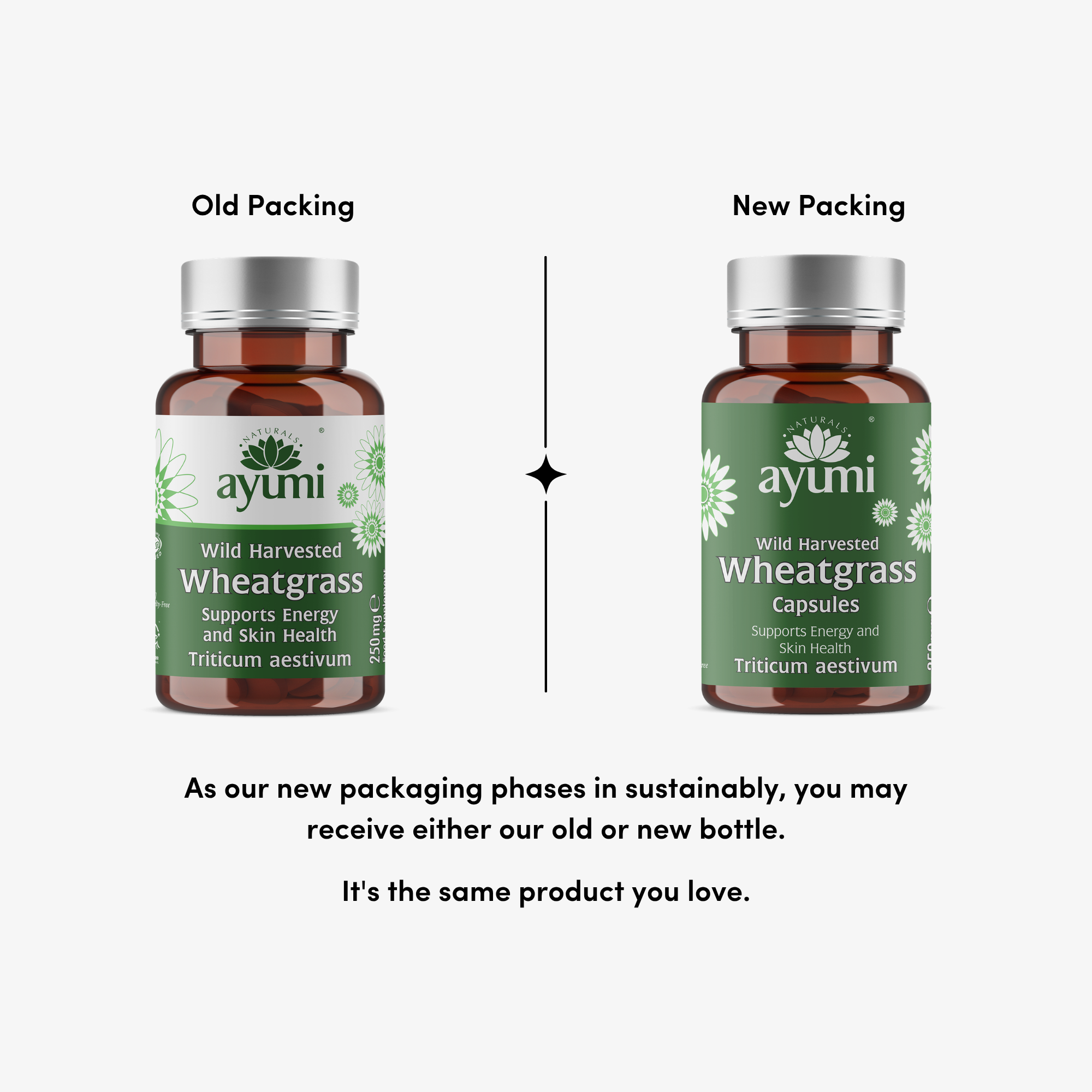 Ayumi Wheatgrass Capsules New and Old Packaging Comparison Wild Harvested Wheatgrass Powder Daily Nutrition and Detox UK