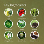 Key ingredients in Ayumi Herbal Henna with their names on a green background