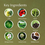 Key ingredients in Ayumi Herbal Henna with their names on a green background