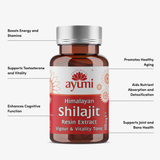 Shilajit Resin Capsules