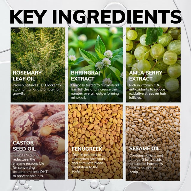 Key ingredients used in a hair care product with images and descriptions.