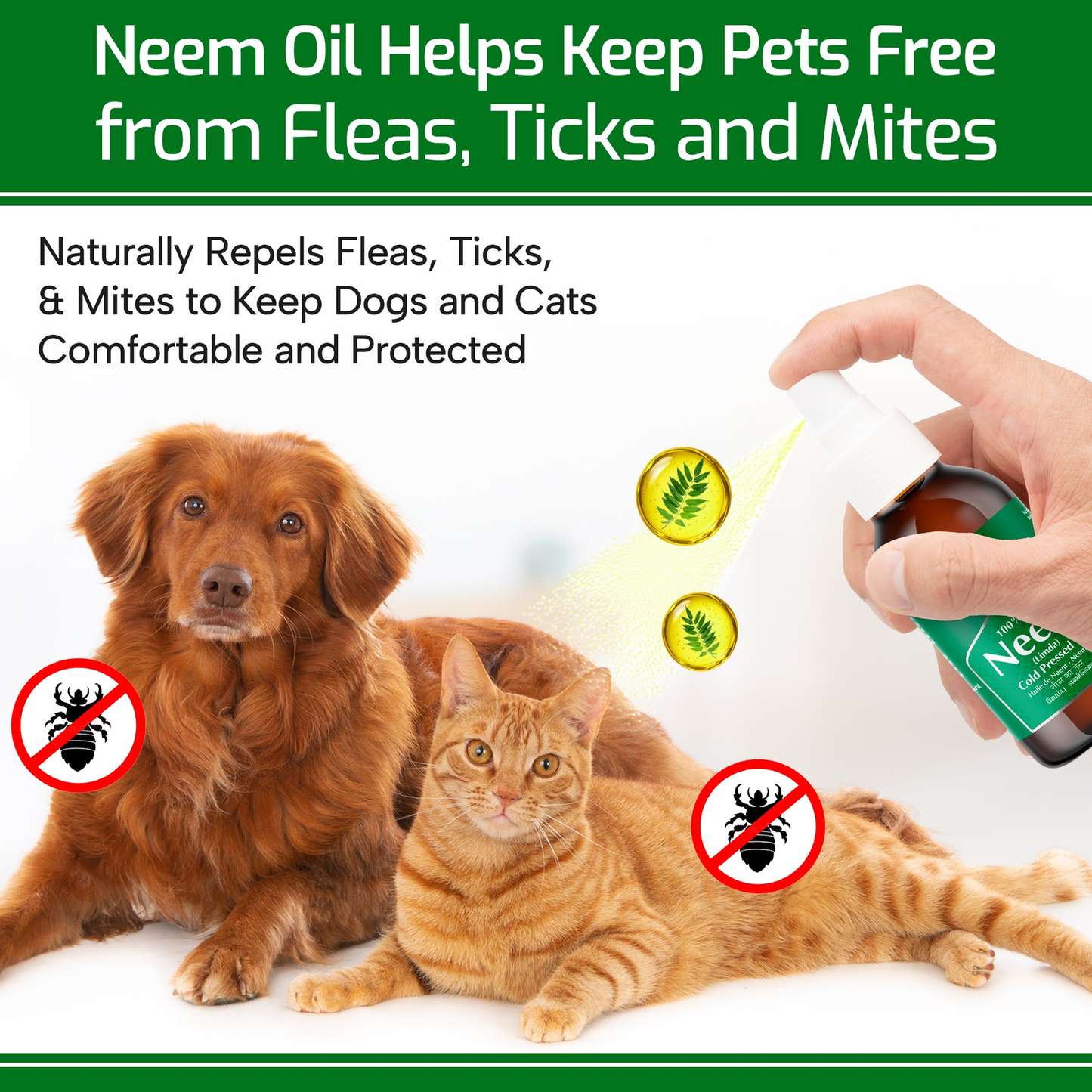 Neem Oil - Cold Pressed