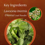 Ayumi Henna Key ingredients of Lawsonia Inermis (Henna) Leaf Powder with close-up images on a brown background.
