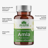 Amla Supplement Capsules