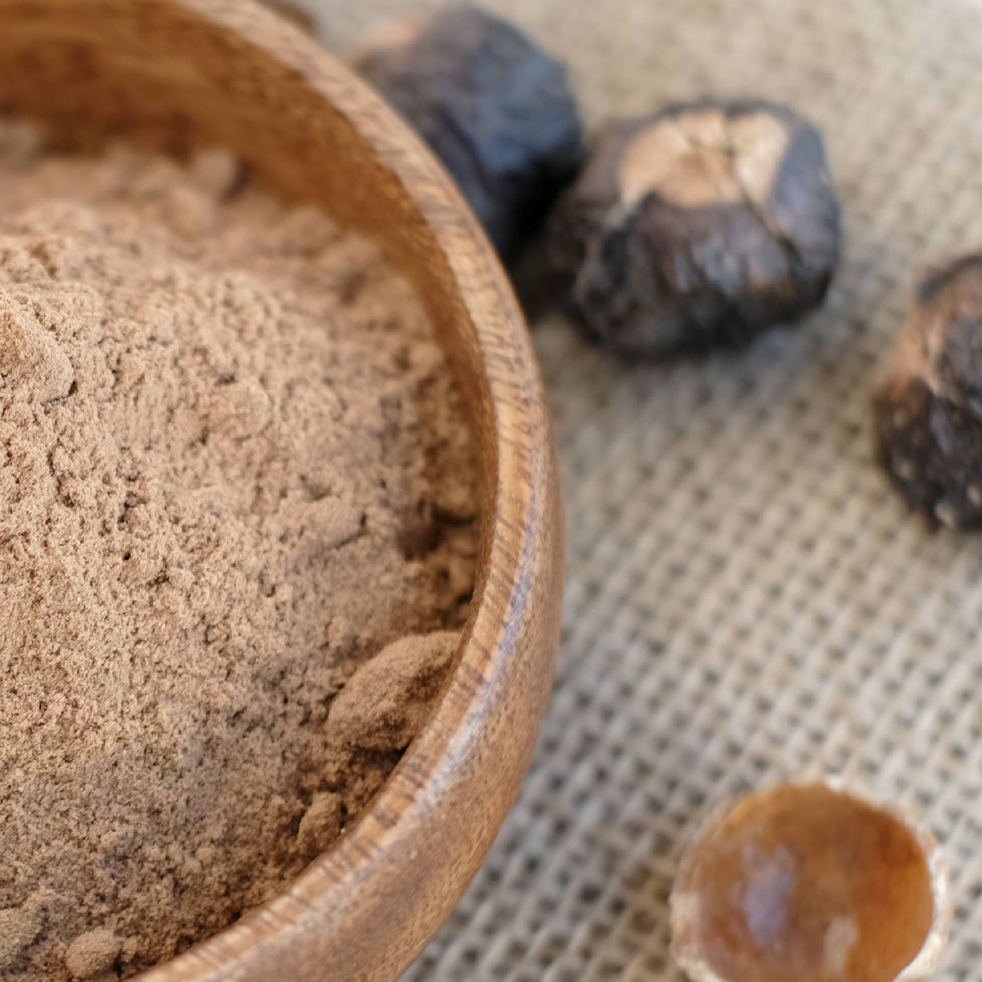Wooden bowl filled with Aritha soap nut powder next to whole aritha on a textured surface