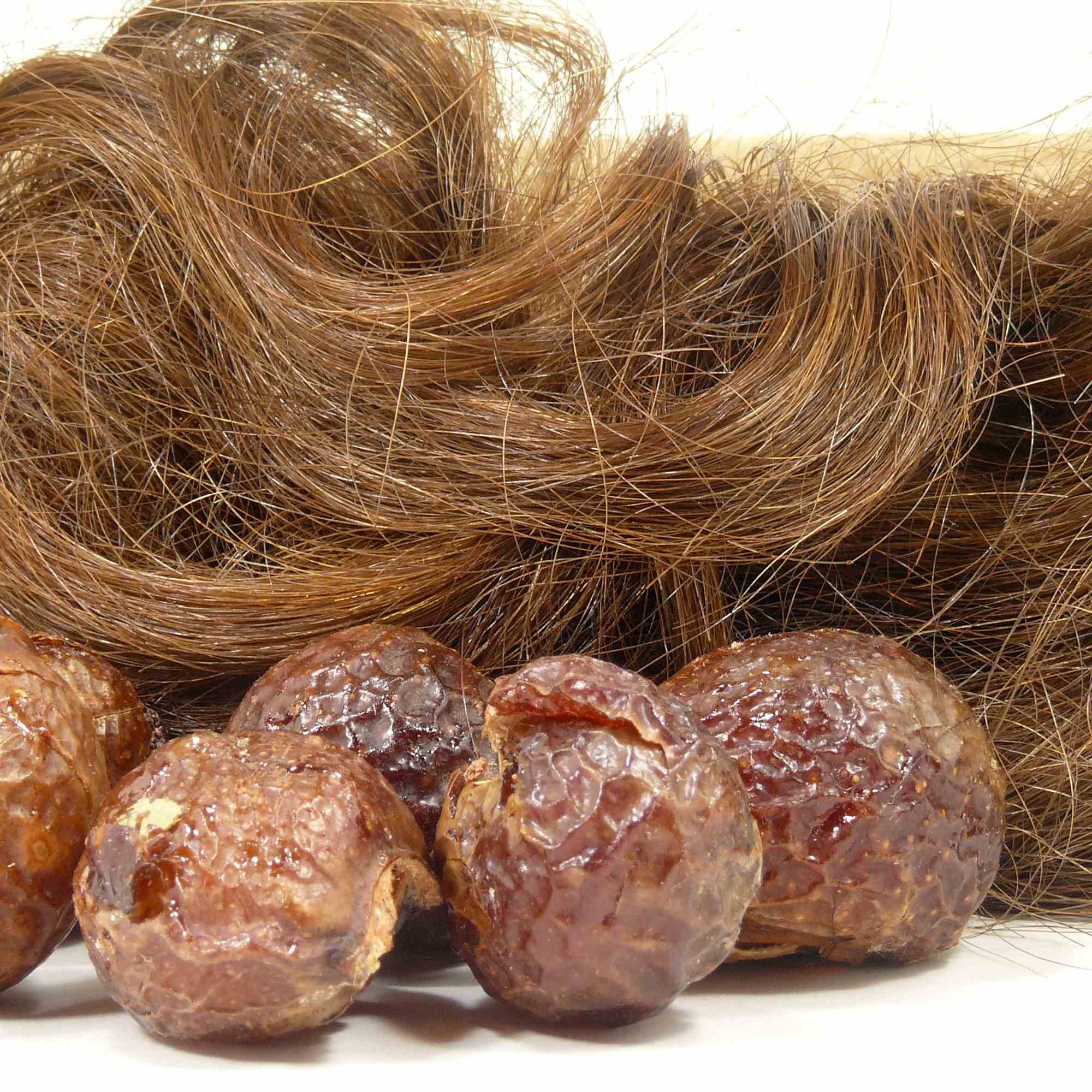 Close-up of brown hair and dried aritha soap nuts on a white background