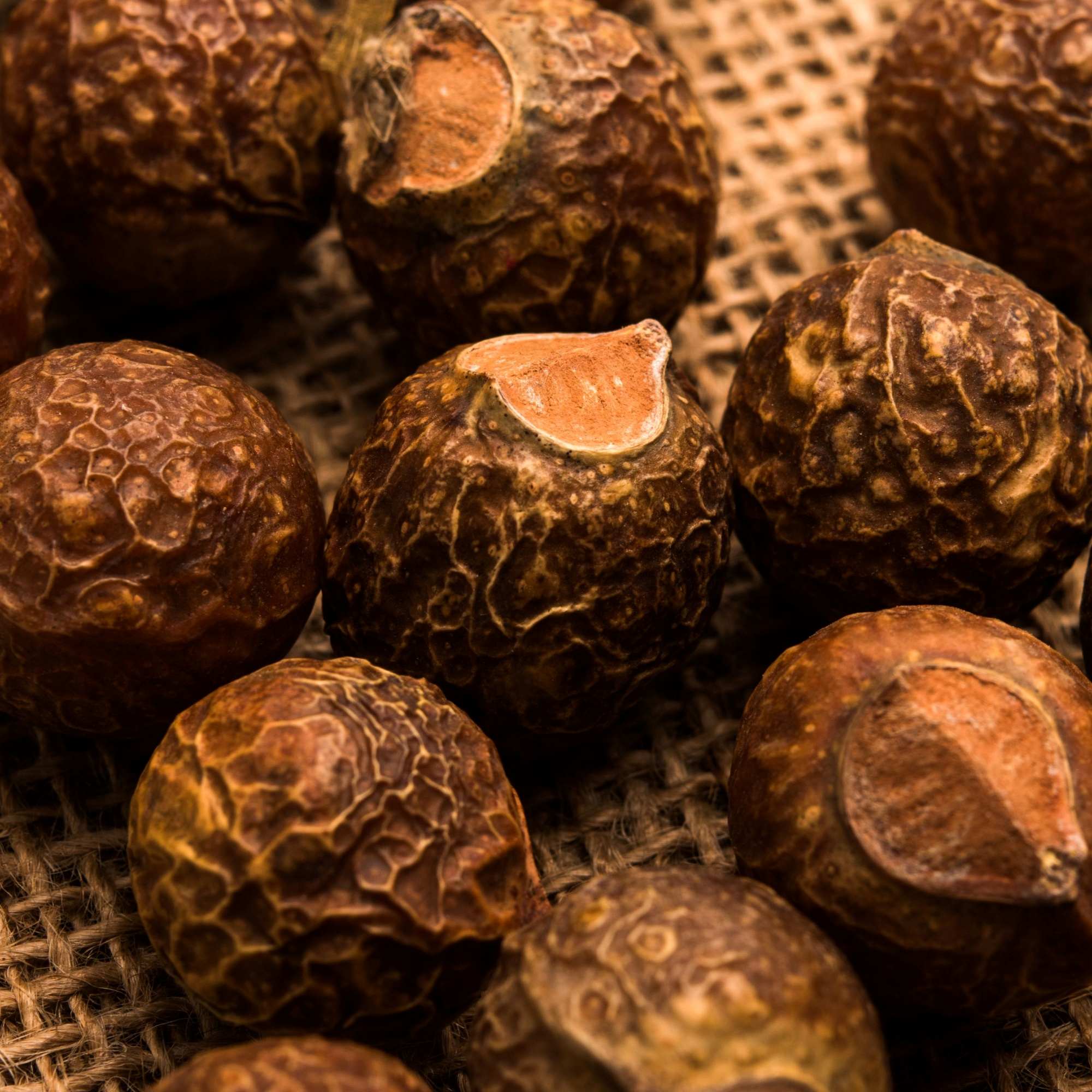 Close-up of Aritha soap nuts on a textured surface