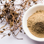 White bowl filled with Bhringraj powder next to dried herbs on a light background