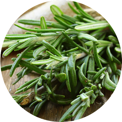 Rosemary Oil