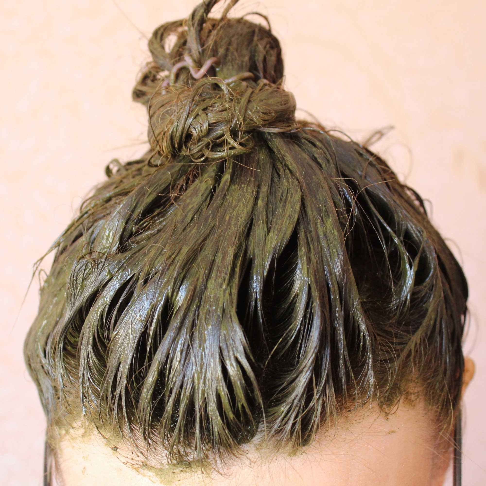 Herbal Henna for Hair + 9 Himalayan Herbs