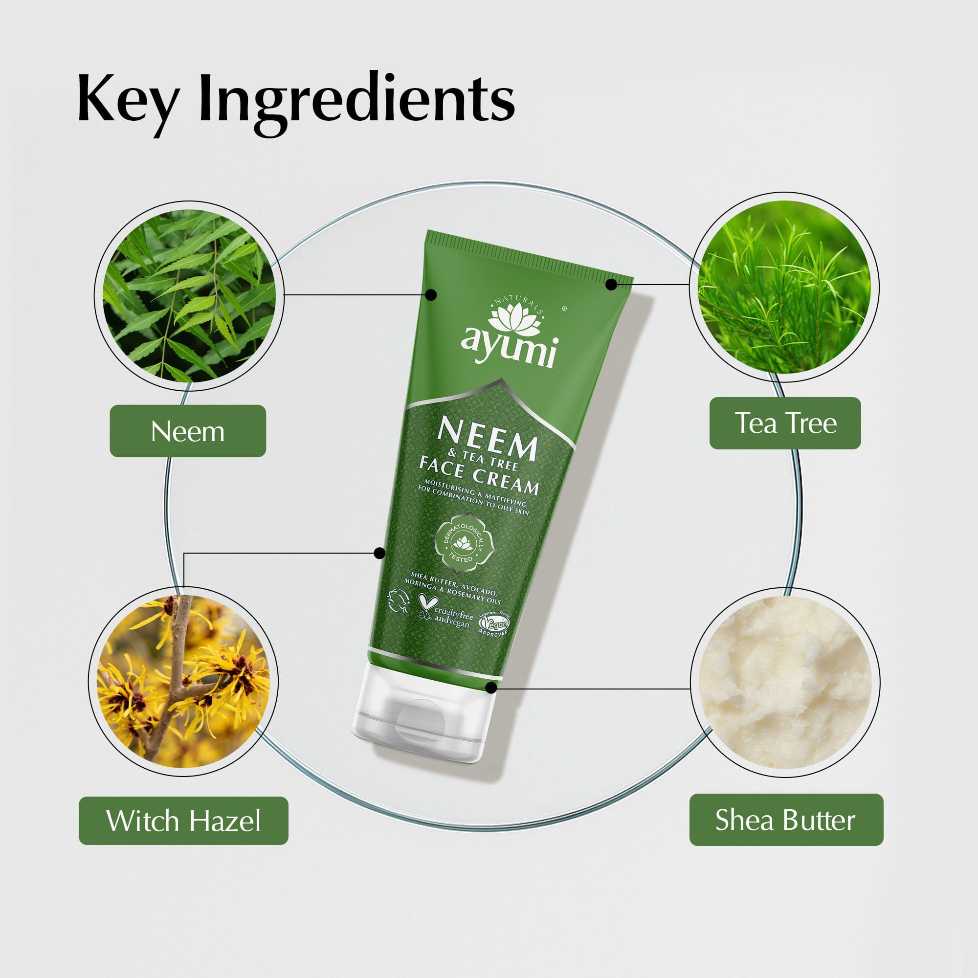 Ayumi Neem & Tea Tree Face Cream with key ingredients displayed around it on a light gray background.