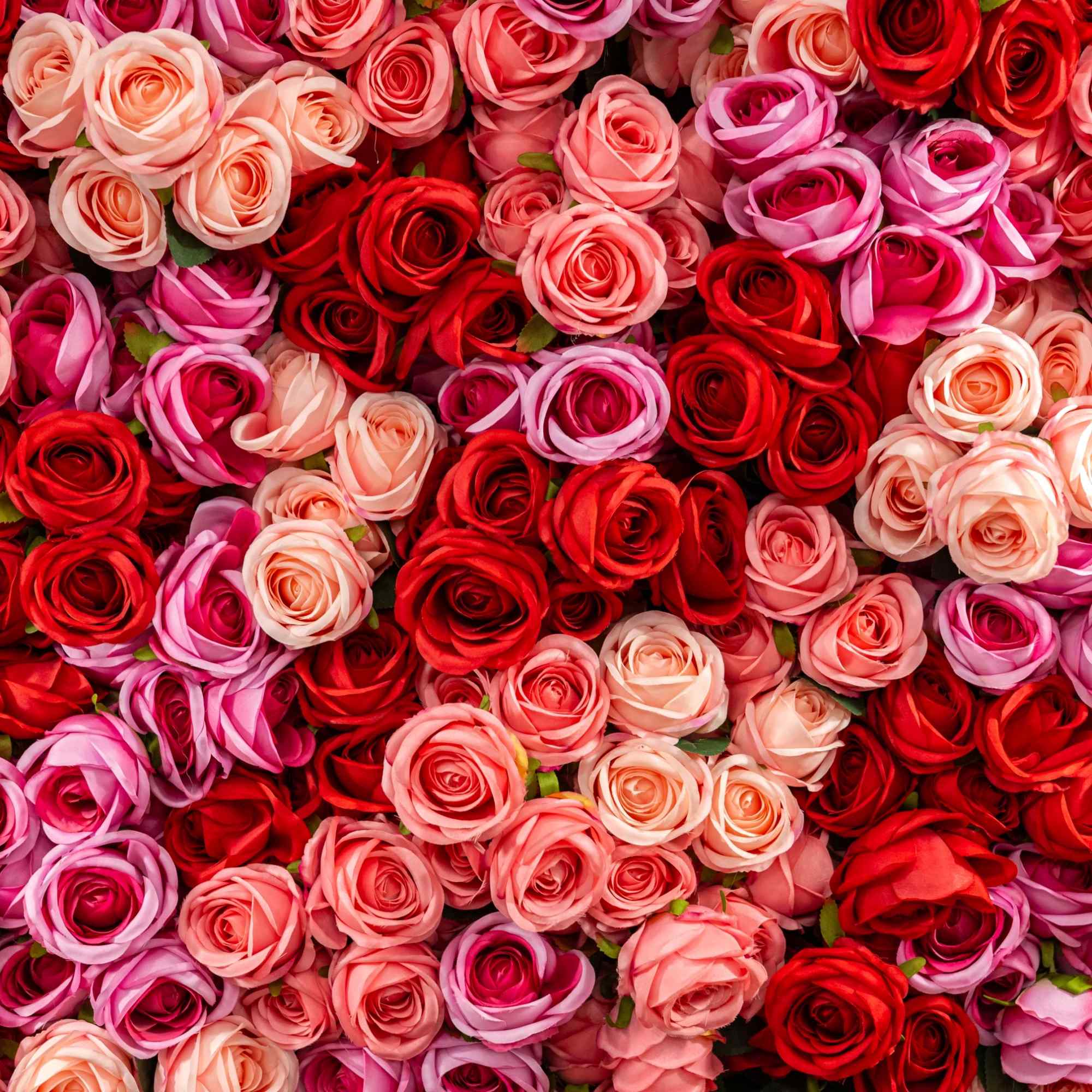 Pattern of red, pink, and peach roses arranged in a grid.