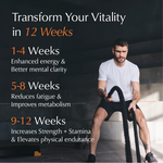 Transform your Vitality in 12 Week with Ayumi Shilajit resin