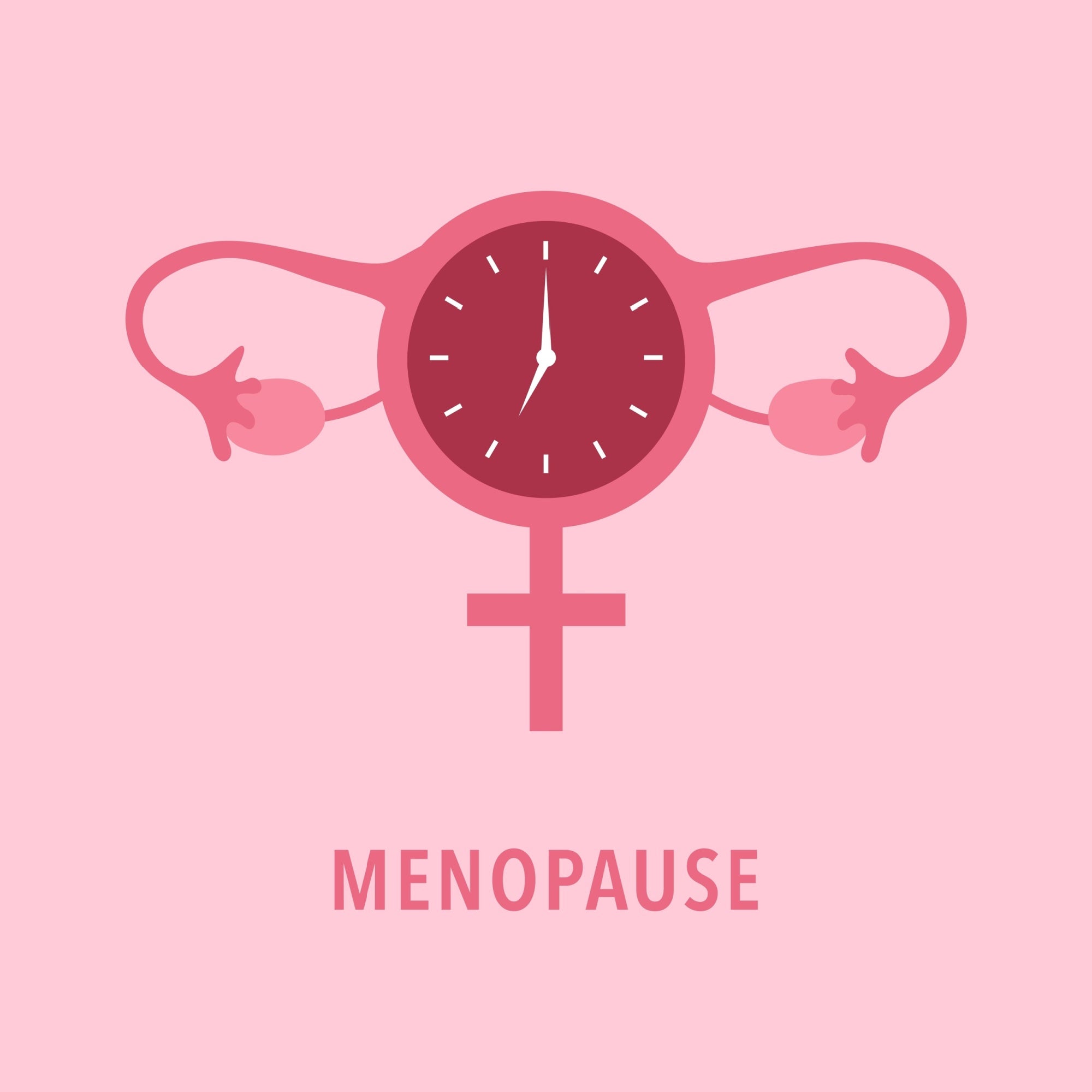 An image with a clock and a shape of the ovary stating Menopause